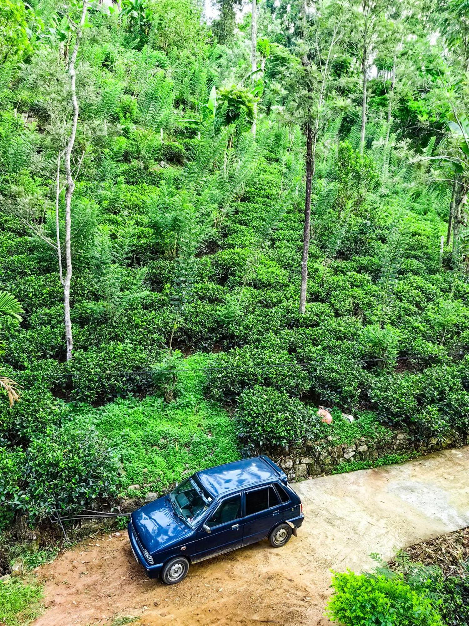 Ella Rock Glance别墅 外观 照片